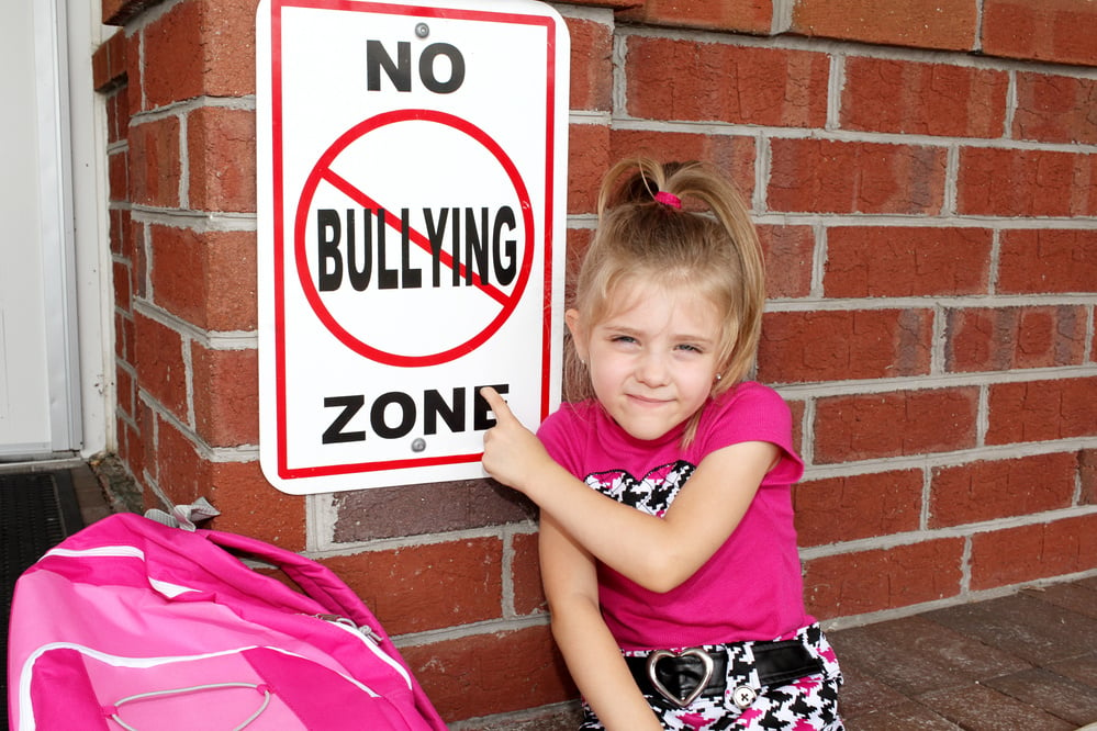 No Bullying Zone